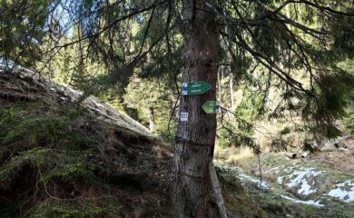 Обновиха маркировката по красиви туристически маршрути край Чепеларе