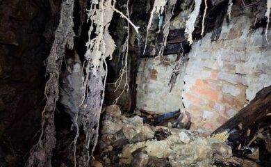 Пещерна лаборатория ще привлича туристи по екопътека край Чепеларе