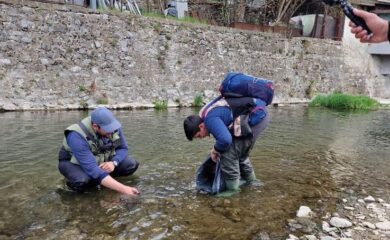 Зарибиха река Черна с балканска пъстърва