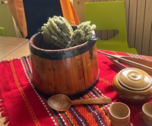 Екоиновация: Ученици в Смолян отглеждат мурсалски чай