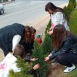 В Мадан засадиха дръвчета от вида туя по случай Деня на Земята