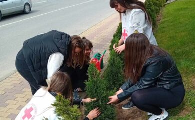 В Мадан засадиха дръвчета от вида туя по случай Деня на Земята