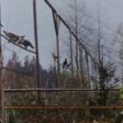 ЮЦДП планира подновяване на фермата за развъждане на глухари край Девин