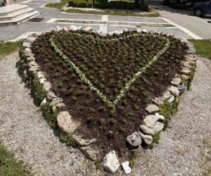 Община Чепеларе разкрасява зелените площи и призовава да се пазят цветята