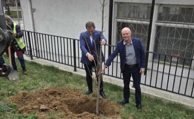 Засадиха 50 дръвчета в Мадан за красота и по-чист въздух
