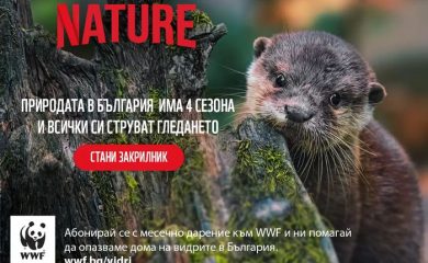 Природозащитници отбелязват Часа на Земята на 22 март