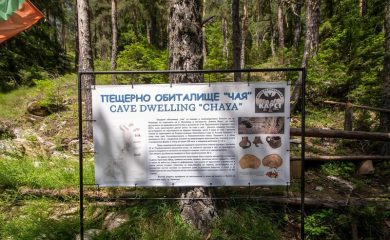 Край Чепеларе откриха древни останки от лъв, червен вълк и пещерни мечки