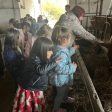 Малчугани от Смолян научиха от къде идва млякото и как стига до трапезата ни