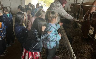 Малчугани от Смолян научиха от къде идва млякото и как стига до трапезата ни