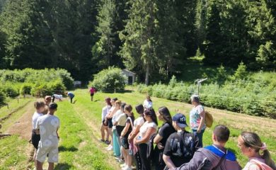 Ученици от Девин посетиха разсадника „Хайдушки дол“ на ДГС Борино