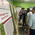 С инициативи в Рудозем и Смолян РИОСВ отбеляза Деня на околната среда
