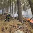 WWF: Над 90% от горските пожари у нас са резултат от човешка намеса