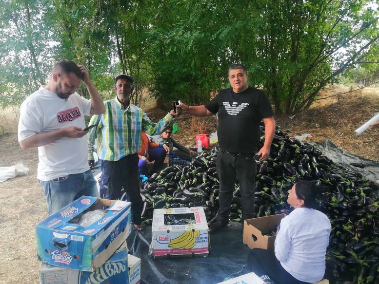 Дариха огромно количество патладжани за жителите на село Забърдо