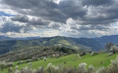 Заповед за правилно ползване на земеделските имоти в Община Смолян