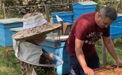 Красимир Събев: Пчелите винаги ми напомнят, че природата живее в свой ритъм