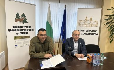 ЮЦДП с проект за опазване на горите от болести и вредители