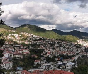 Голям спад в търсенето на дърва за огрев в Смолян и Родопите