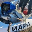 Инспектори на ИАРА иззеха незаконни мрежи от язовир Доспат