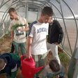 В Чепеларе и Неделино изградиха учебни биоферми по проект “Зелени училища”