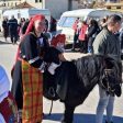 Чепеларе отбеляза Тодоровден с шествие на коне и фермерски базар