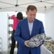 Мадан привлича колекционери от България и чужбина на празника на кристалите