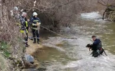 Пожарникари от Девин спасиха бедстващо куче в река Широколъшка