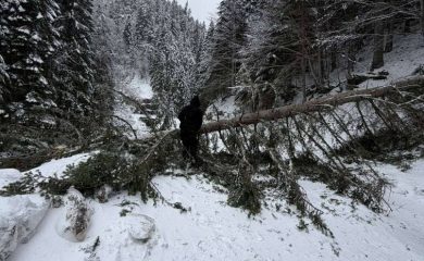 Кметът Мелемов предприе мерки за овладяване на последиците от бедствието
