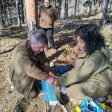 Горски представиха теренни практики за борба с боровата процесионка