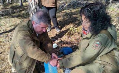Горски представиха теренни практики за борба с боровата процесионка