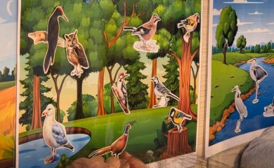 Екоинспекцията в Смолян отбеляза Международния ден на птиците