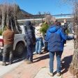 ЮЦДП и ДГС Борино раздадоха 3400 безплатни фиданки