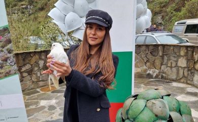 81 бели гълъба политат на свобода в небето над Забърдо на 9 май