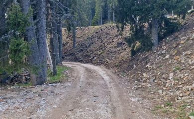 Изместват обходния път от Смолян към Пампорово, за да не влиза в частен имот