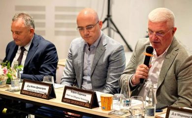 Кметът на Чепеларе: Родопите са единствената планина в България с лечебен въздух