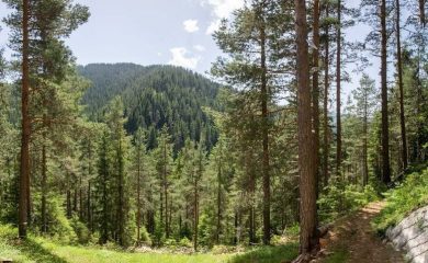 България разработва Национален план за възстановяване на природата