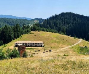 Историята на Чамла: Най-високото село в Родопите и цяла България
