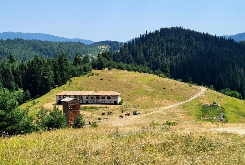 Историята на Чамла: Най-високото село в Родопите и цяла България