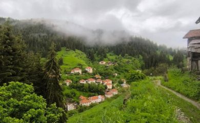 Американци в Мугла: Сякаш се върнахме назад в 19 век