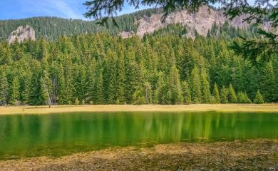 България представи Националния план за възстановяване на природата
