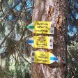 Чепеларе привлича туристи с “Пътека на здравето” (Health Trail)