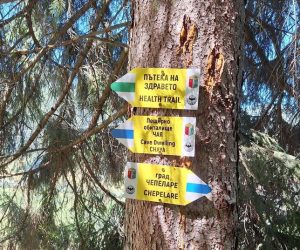 Чепеларе привлича туристи с “Пътека на здравето” (Health Trail)